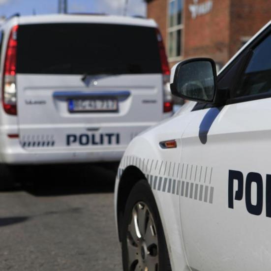 Parkerede politibiler