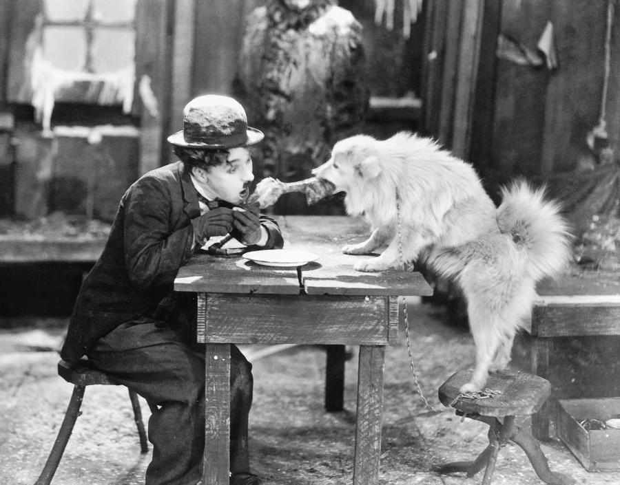 Se Guldfeber (1925) på Filmstriben